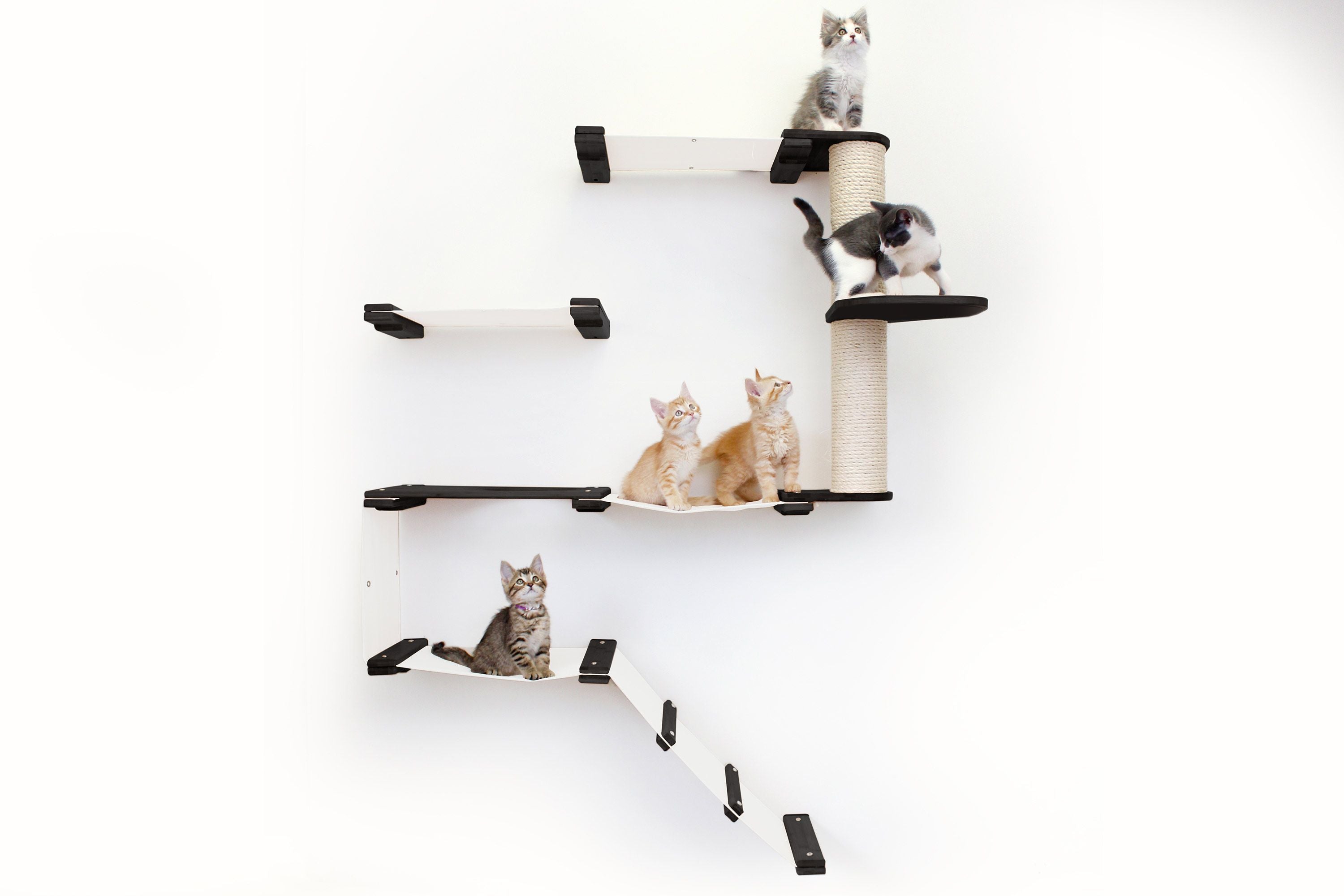 The Deluxe Cat Fort - Modern Cat Condo by Catastrophic Creations