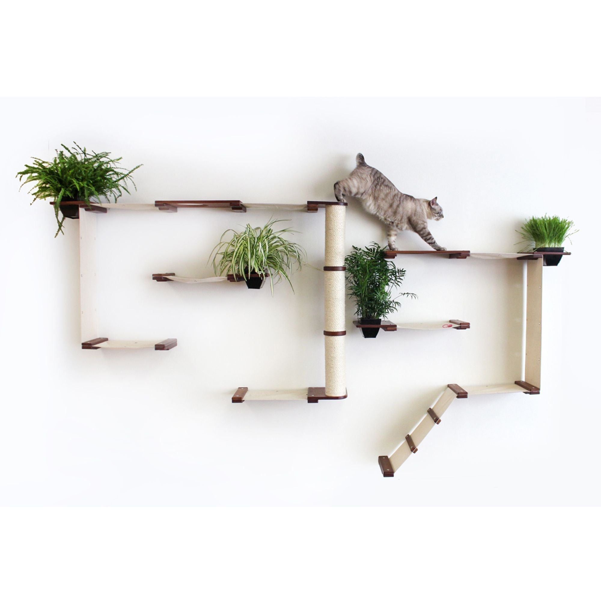 The Gardens - Modern Cat Tree with Plants by Catastrophic Creations