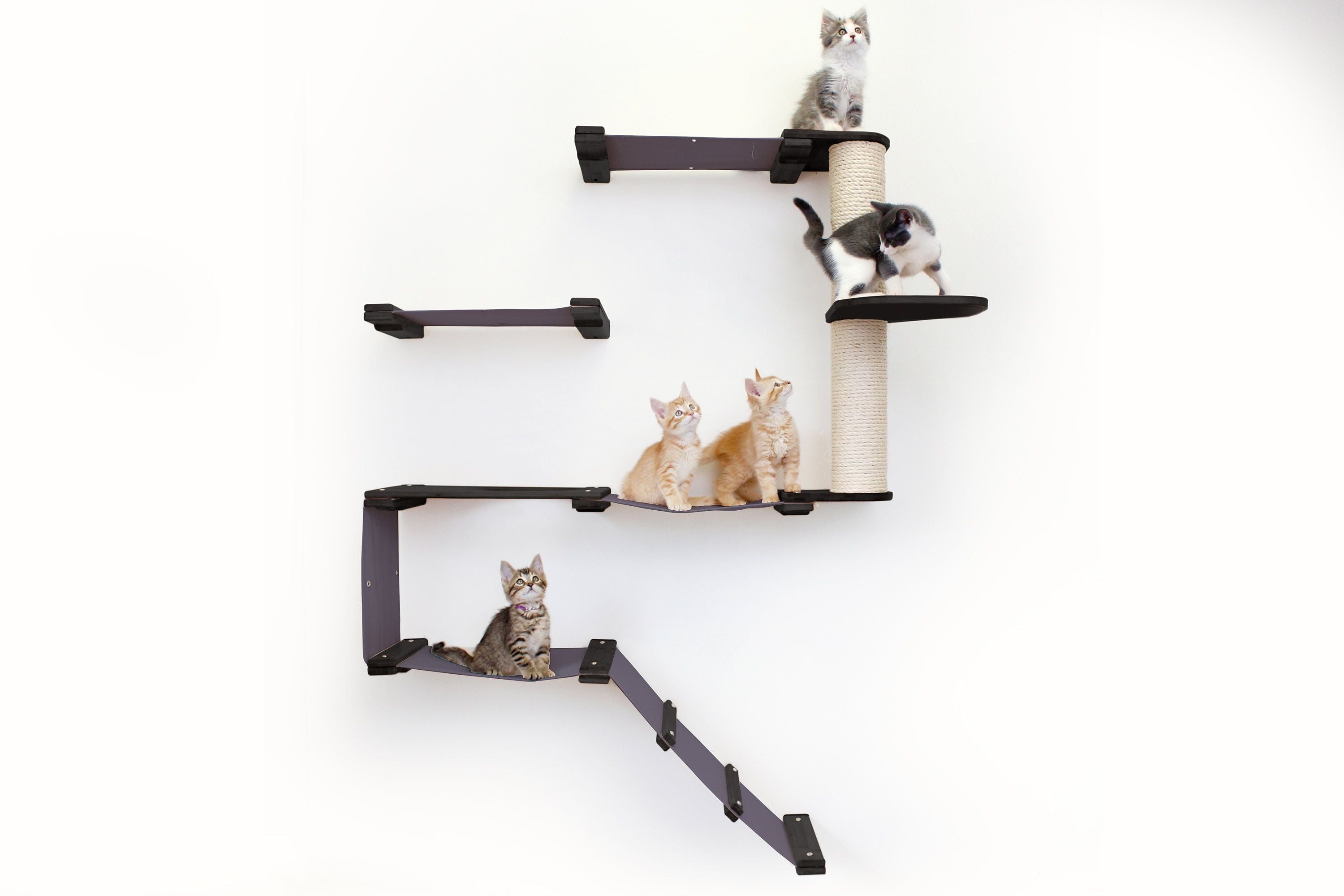 The Deluxe Cat Fort - Modern Cat Condo by Catastrophic Creations