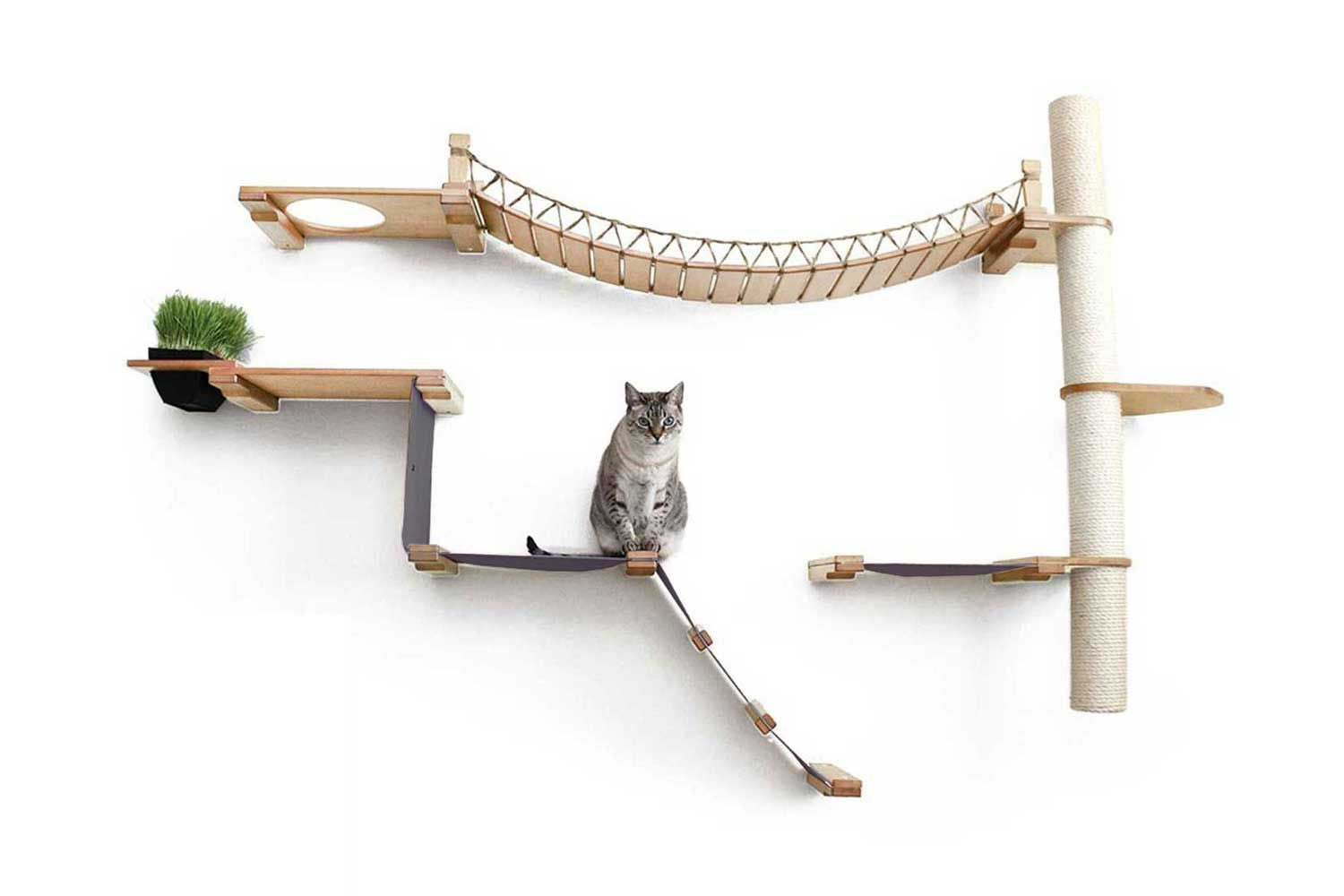 The Expedition - Cat Jungle Gym Wall System by Catastrophic Creations