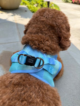 The Summer AIR Harness - Ocean