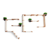 The Gardens - Modern Cat Tree with Plants by Catastrophic Creations