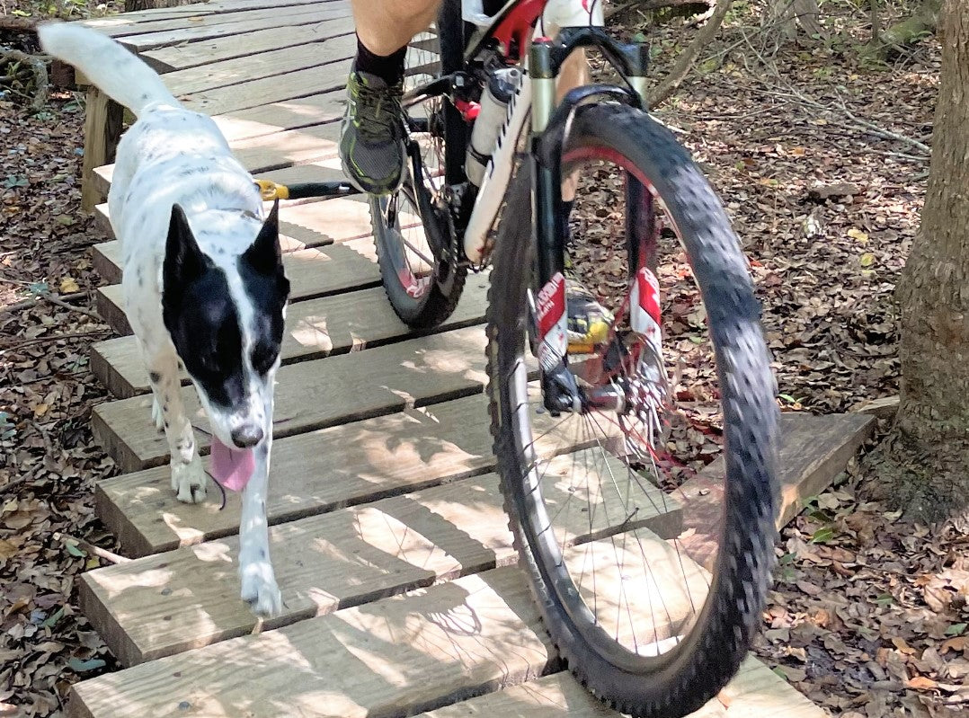 Bike Tow Leash Chain Stay Clamp Package