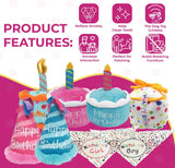 Squeaky Birthday Present Plush Dog Toy
