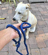 Blue Boho Chic Ombre Rope Leash