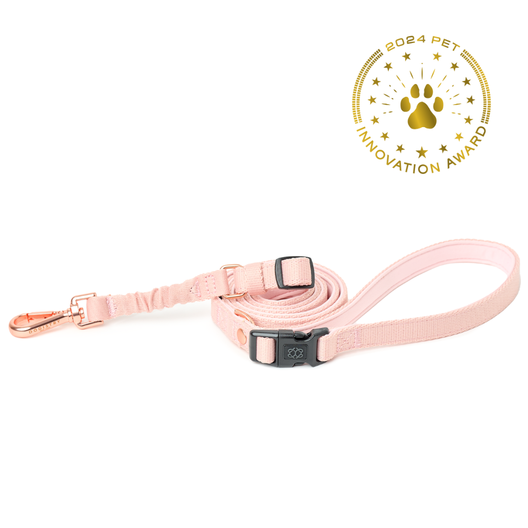 City Dog Leash - Blush