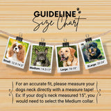 Saint-Tropez Sambboho Martingale dog collar (Training)