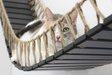 Cat Bridge for Wall by Catastrophic Creations
