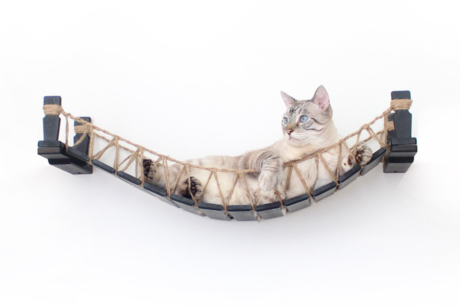 Cat Bridge for Wall by Catastrophic Creations