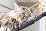 Cat Bridge for Wall by Catastrophic Creations