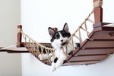 Double Cat Hammock and Climbing Bridge Combo by Catastrophic Creations
