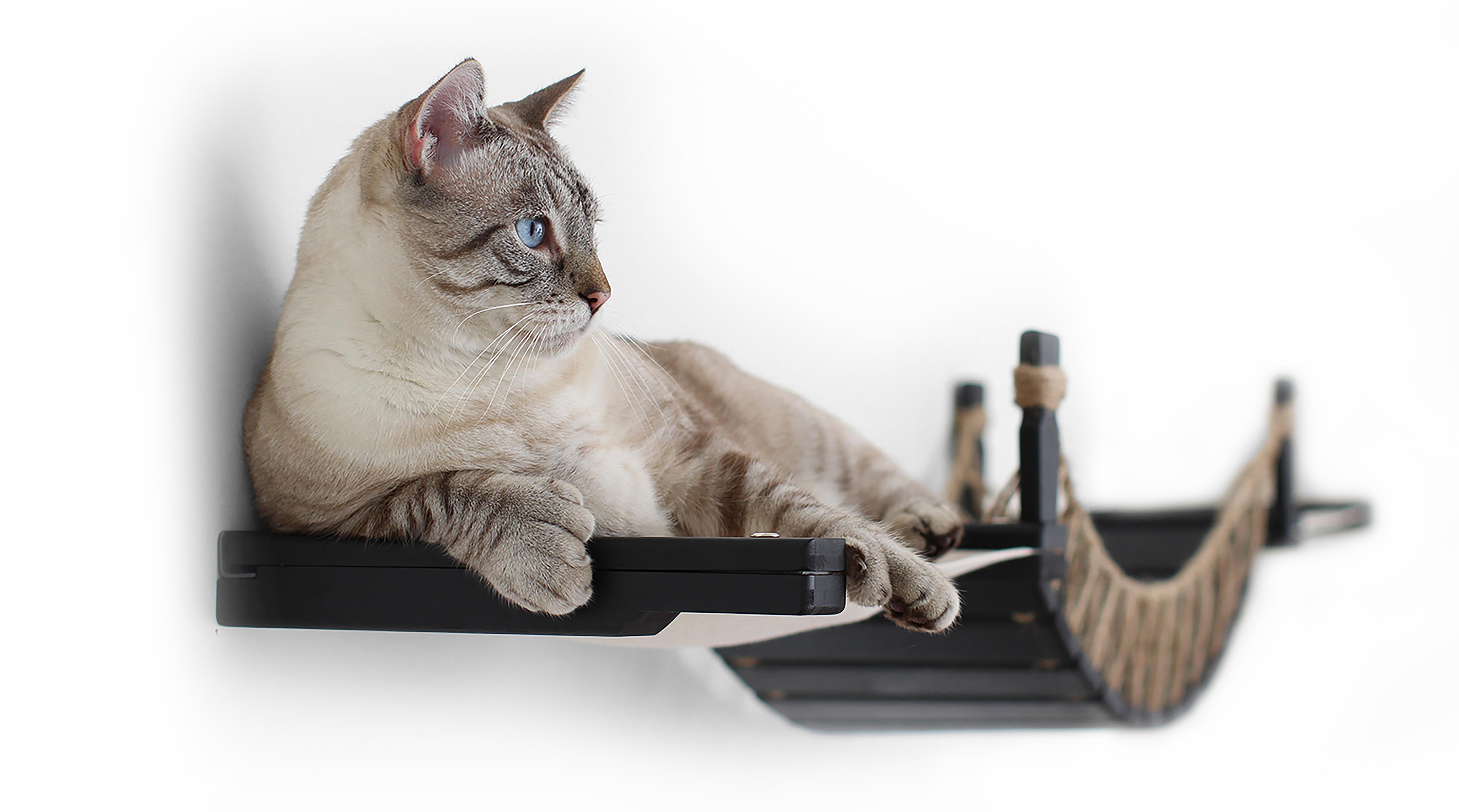 Double Cat Hammock and Climbing Bridge Combo by Catastrophic Creations