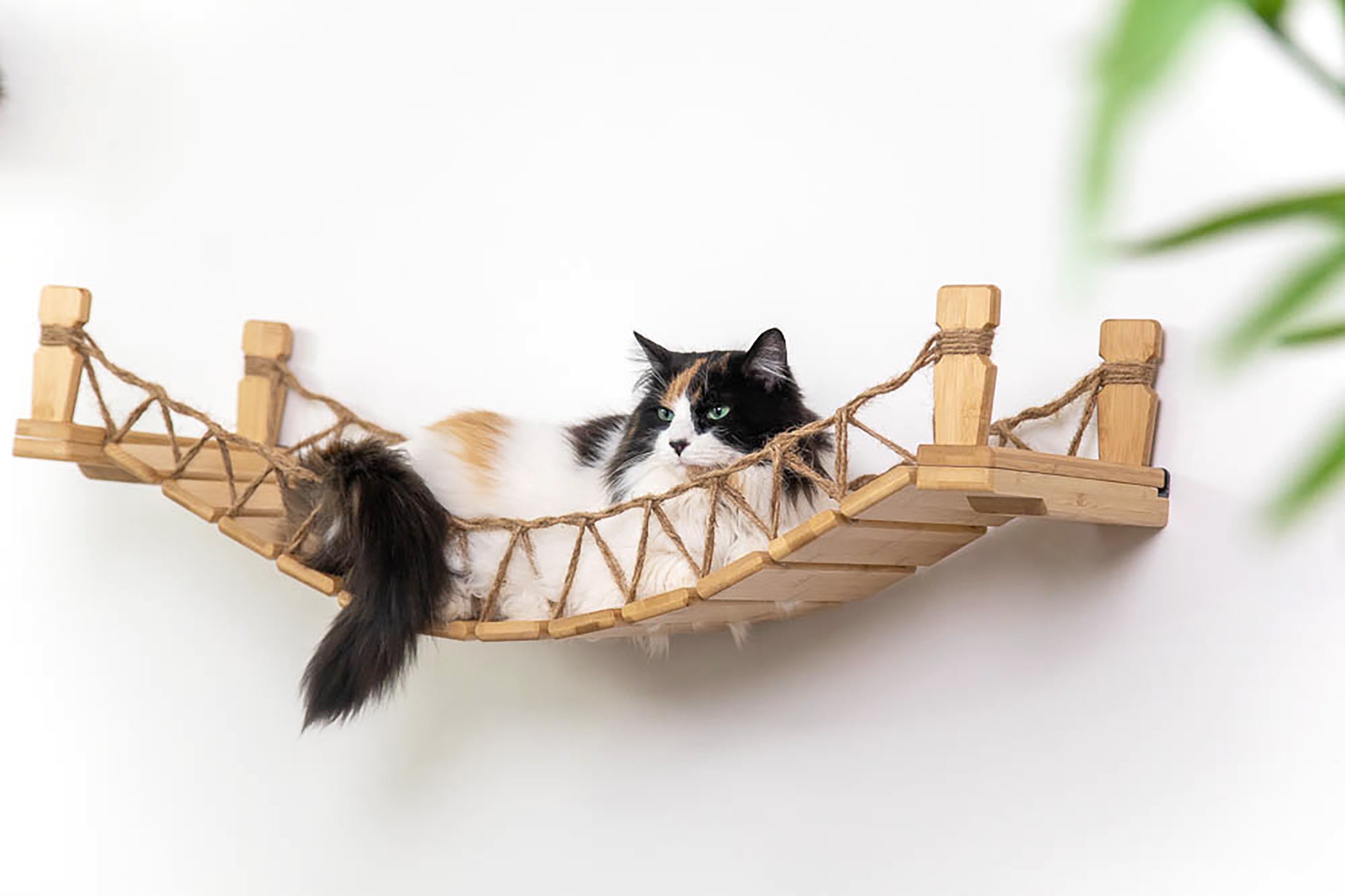 Cat Bridge for Wall by Catastrophic Creations