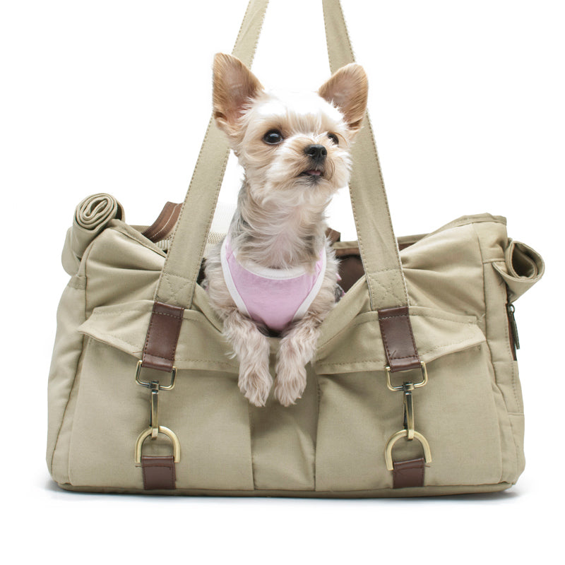 Buckle Tote BB