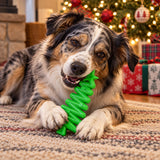 Christmas Tree Nylon Dog Chew Toy | USA Made | SodaPup
