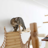 Corner Cat Shelf Bridge by Catastrophic Creations