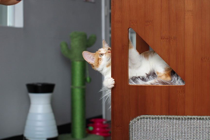 The Overlook - Sturdy - Bamboo Cat Tree by Catastrophic Creations