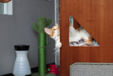 The Overlook - Sturdy - Bamboo Cat Tree by Catastrophic Creations
