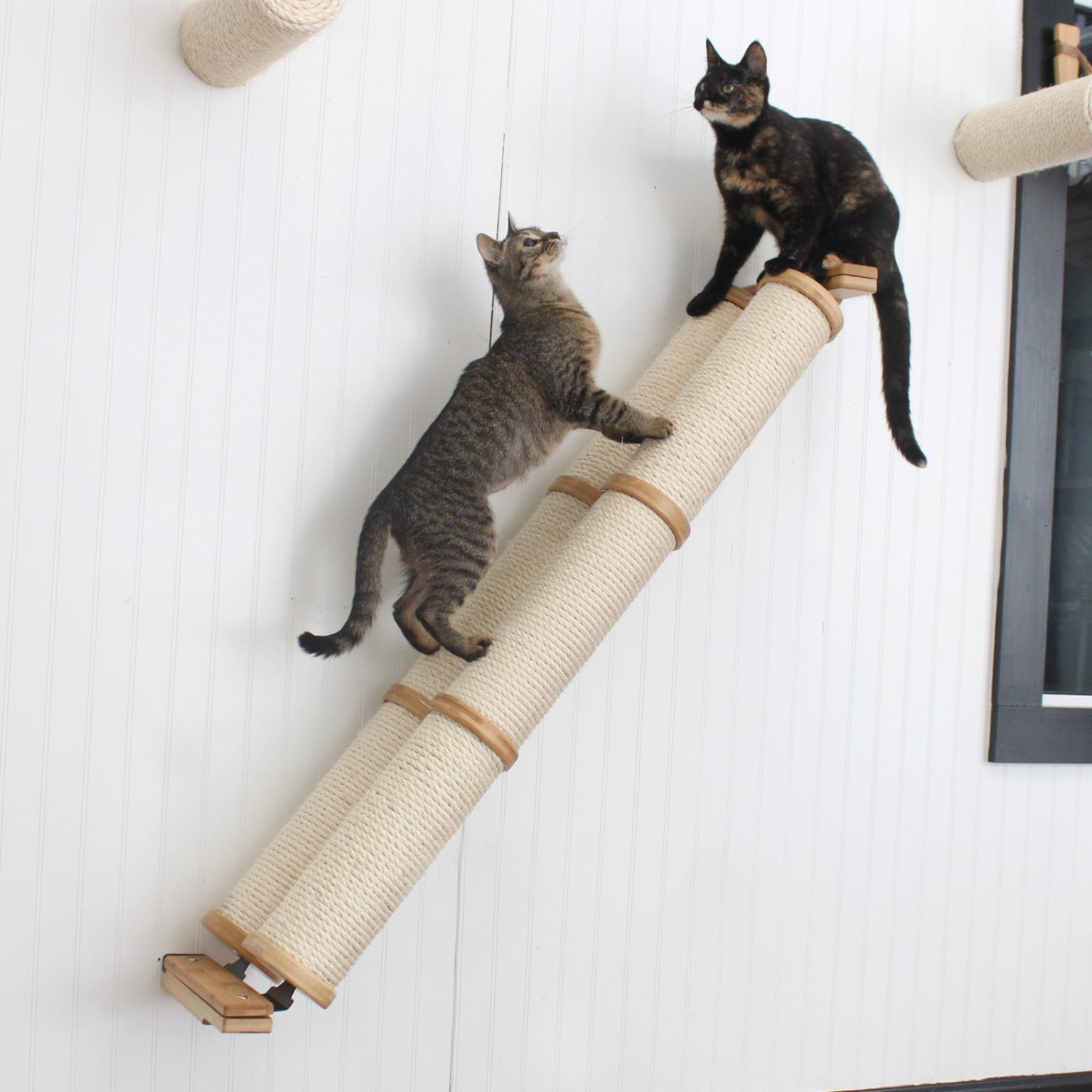 Slanted Cat Scratcher for Wall by Catastrophic Creations