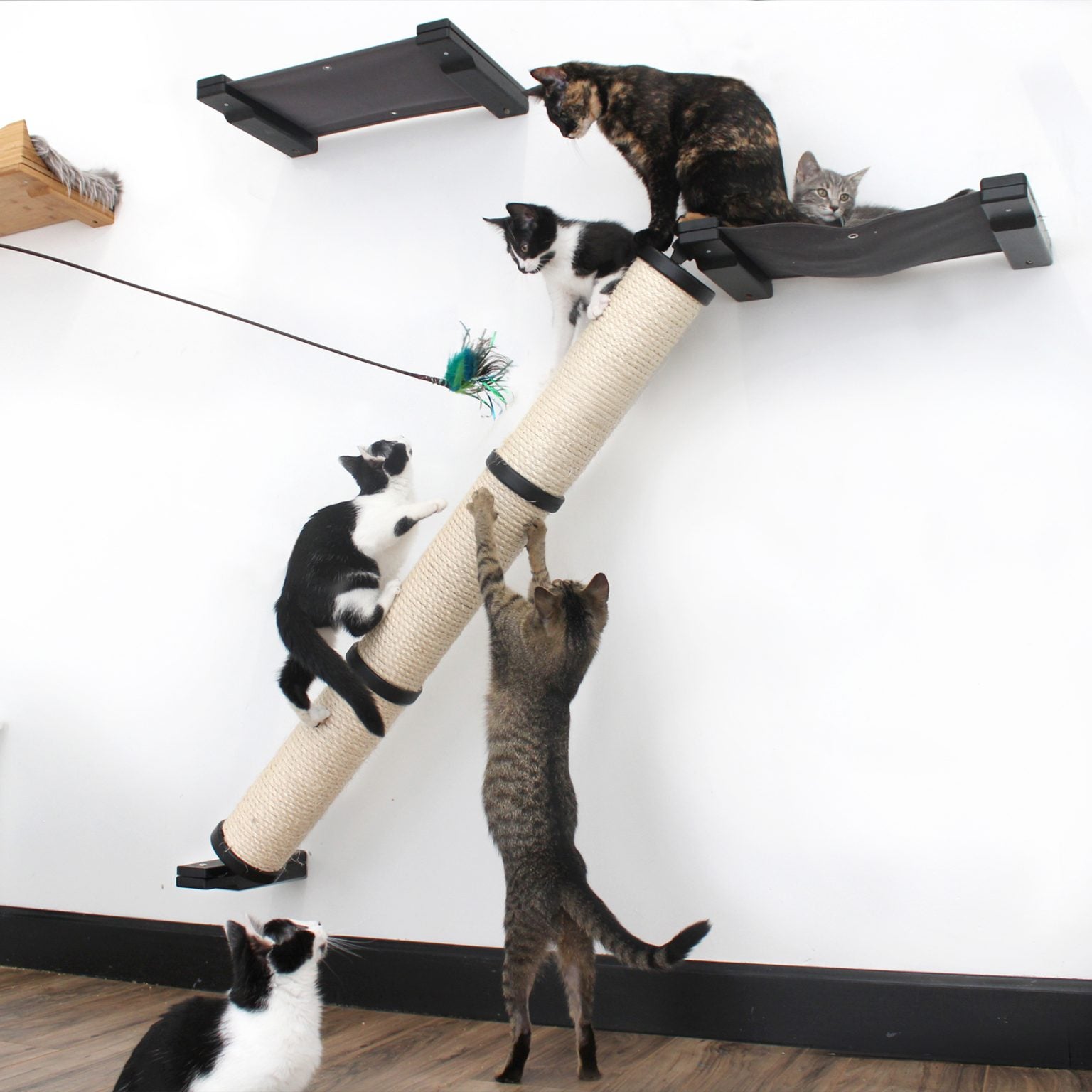 Slanted Cat Scratcher for Wall by Catastrophic Creations