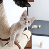 The Crossroads - Cat Wall Scratcher - Tree with Ramp by Catastrophic Creations