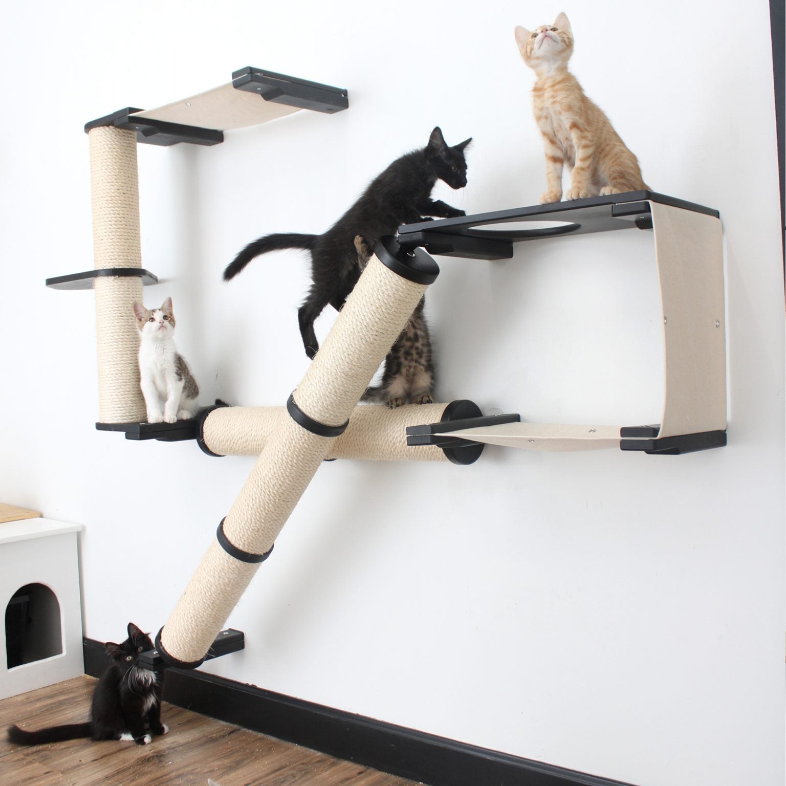 The Crossroads - Cat Wall Scratcher - Tree with Ramp by Catastrophic Creations