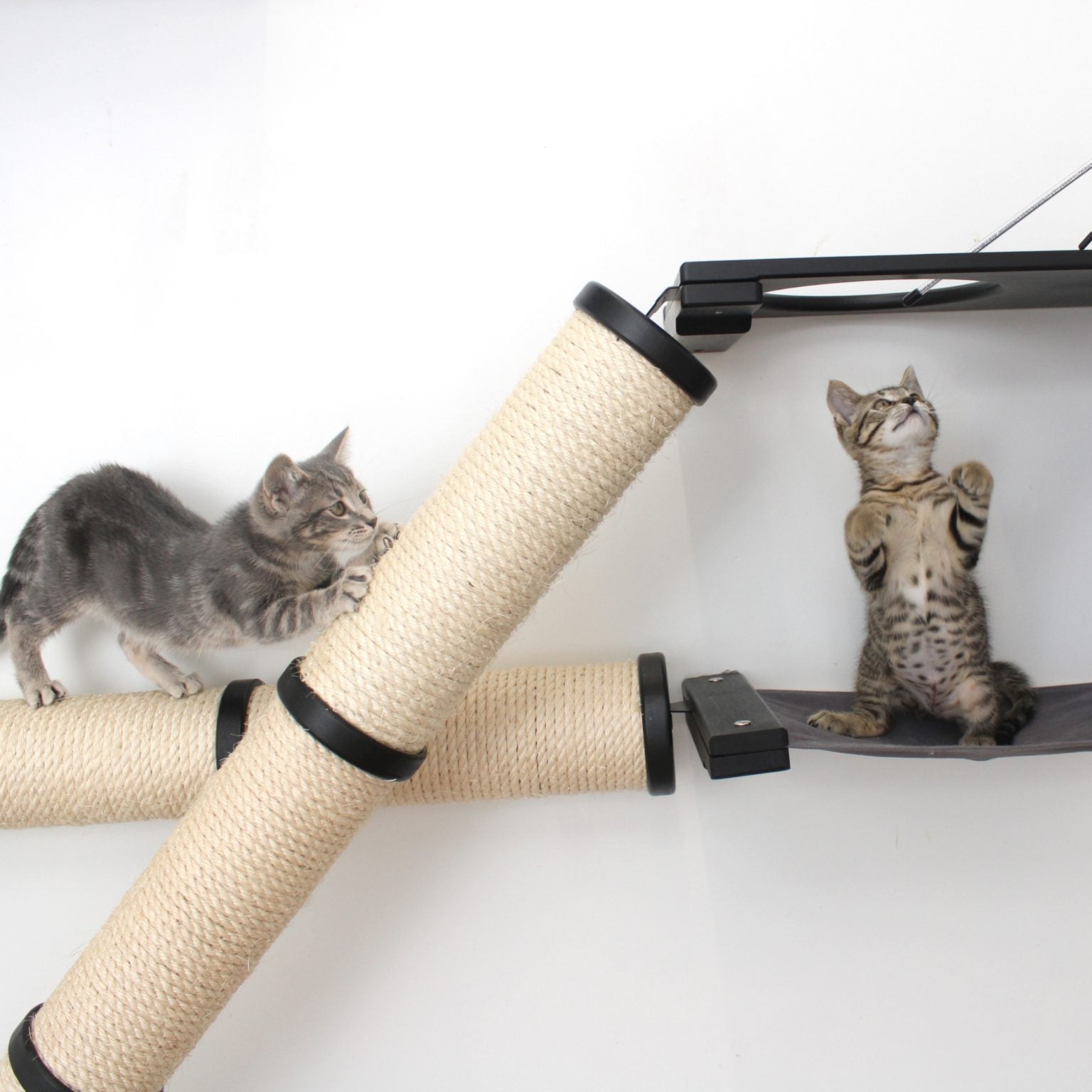 The Crossroads - Cat Wall Scratcher - Tree with Ramp by Catastrophic Creations