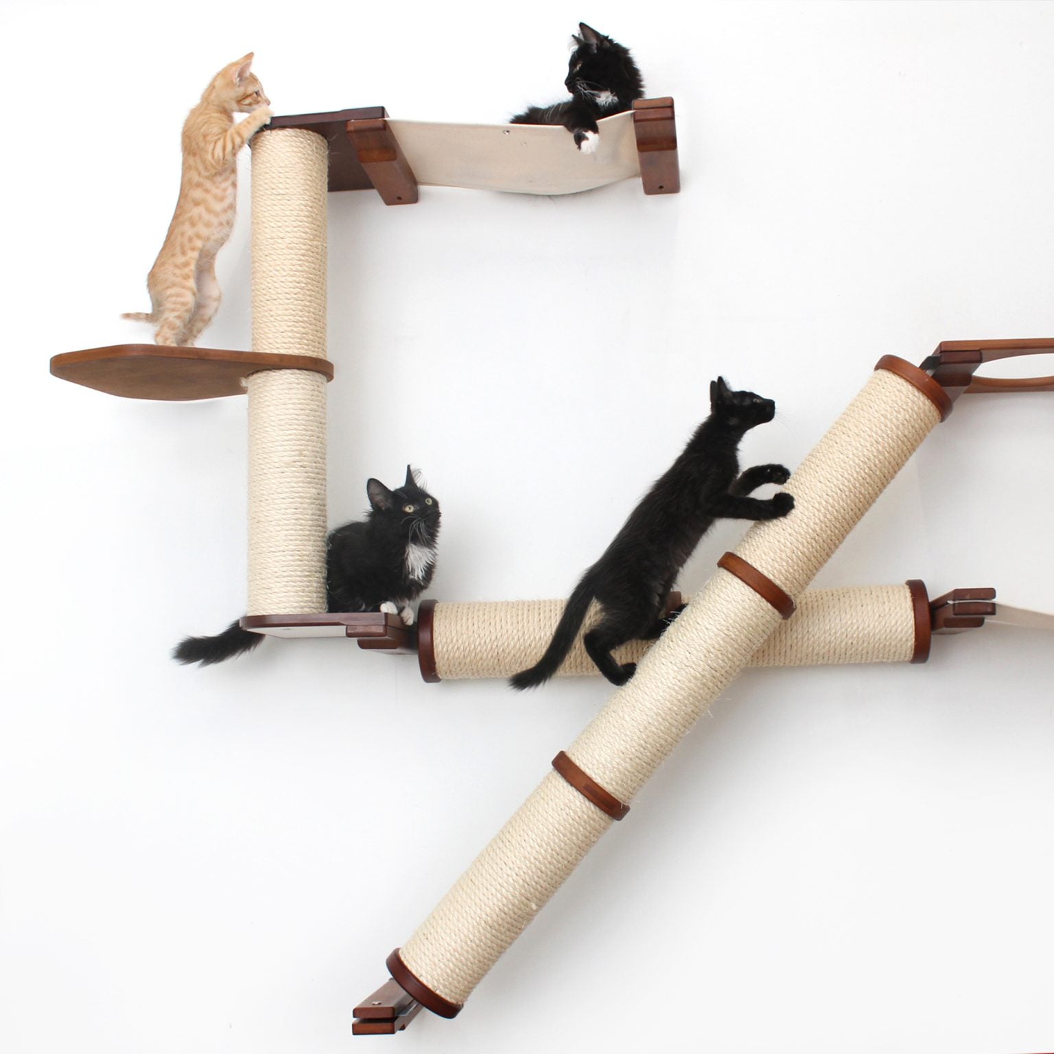 The Crossroads - Cat Wall Scratcher - Tree with Ramp by Catastrophic Creations