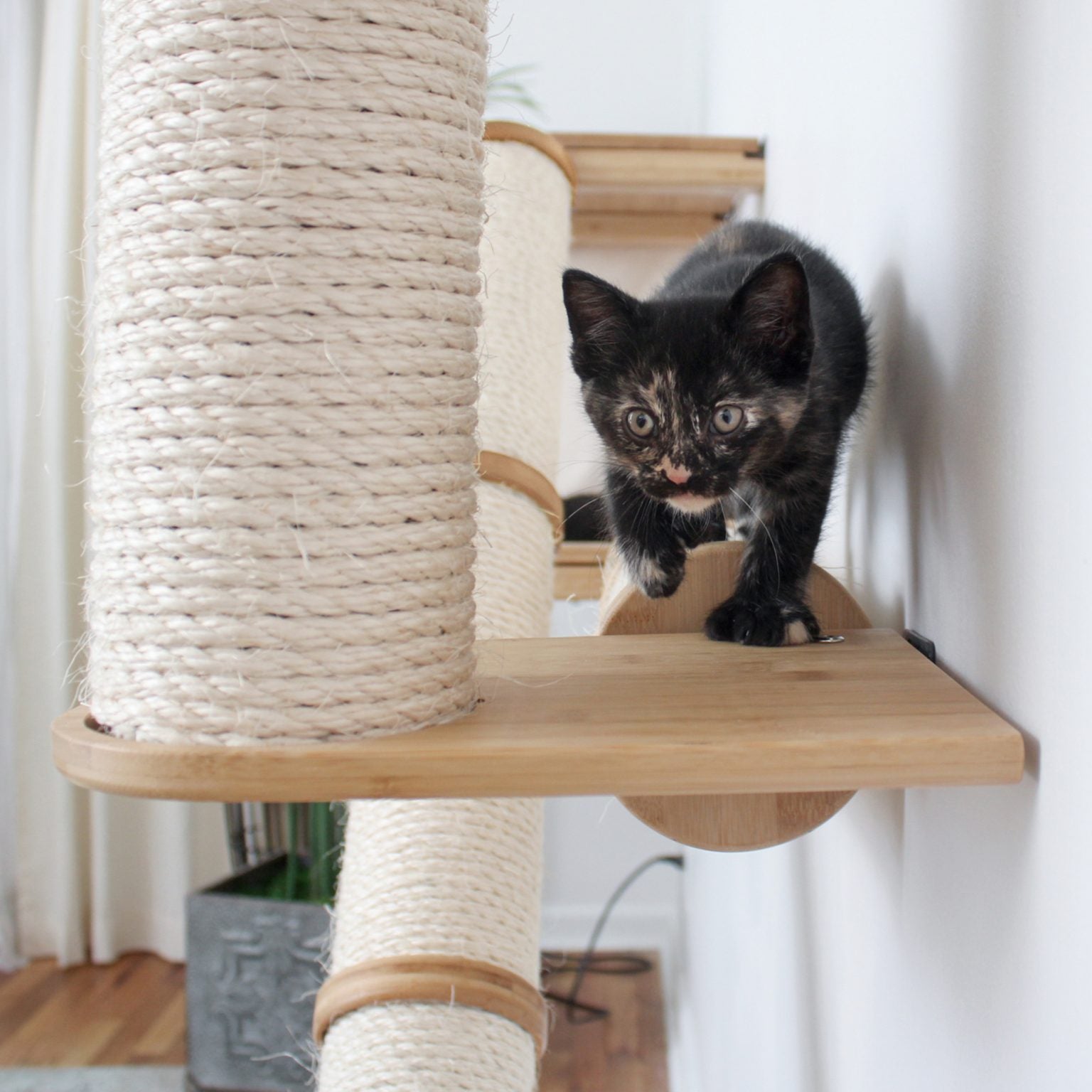 The Crossroads - Cat Wall Scratcher - Tree with Ramp by Catastrophic Creations