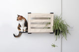 Deluxe Cat Cubby Bed by Catastrophic Creations