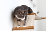 The Raceway - Wall Mounted Cat Hammock by Catastrophic Creations