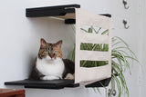 Deluxe Cat Cubby Bed by Catastrophic Creations