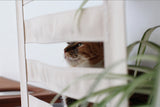 Deluxe Cat Cubby Bed by Catastrophic Creations