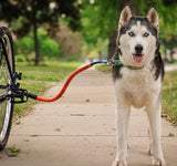 Bike Tow Leash Chain Stay Clamp Package