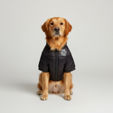 Highlander Insulated Jacket