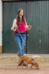 White and Blue Polo Dog Collar