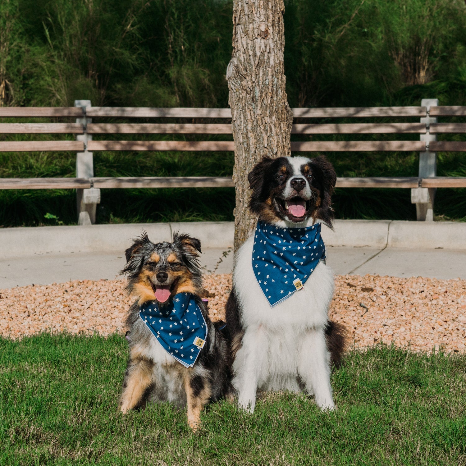 Inky Stars Dog Bandana