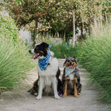 Batty Buds Dog Bandana