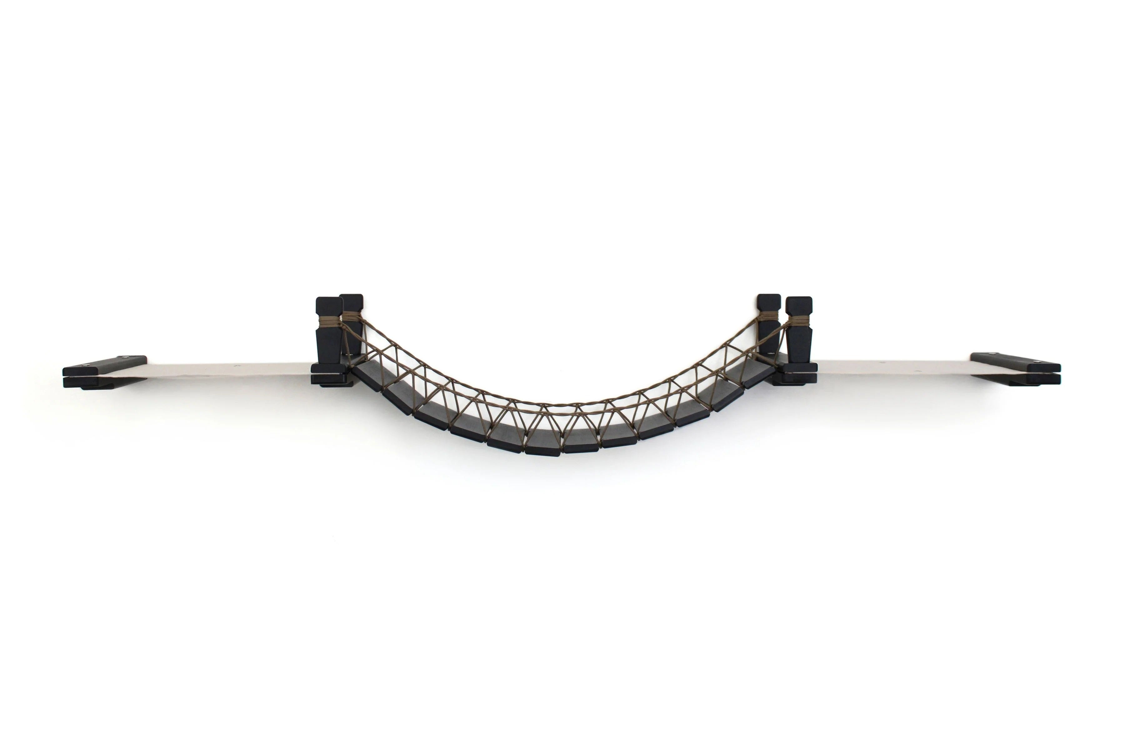 Double Cat Hammock and Climbing Bridge Combo by Catastrophic Creations