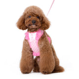 EasyGO Bow Dots