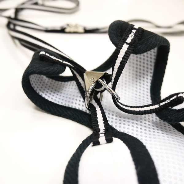 EasyGO Bowtie