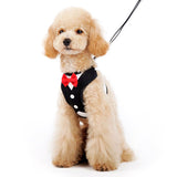 EasyGO Bowtie