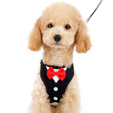 EasyGO Bowtie