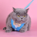 EasyGO Bowtie