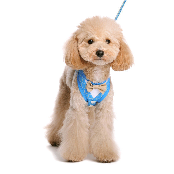 EasyGO Bowtie