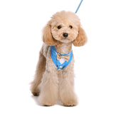 EasyGO Bowtie