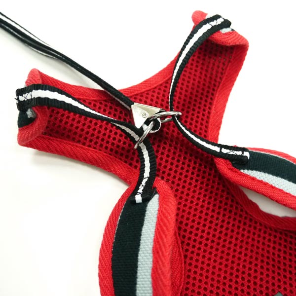 EasyGO Polo
