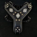 The "Aztec" BLACK harness