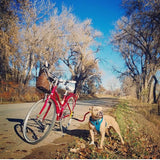 Bike Tow Leash