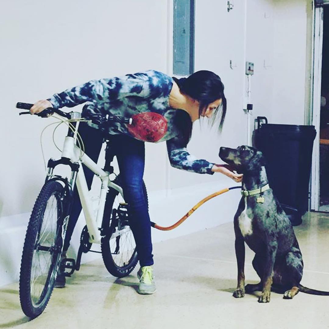 Bike Tow Leash